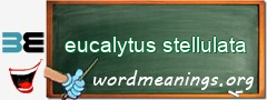 WordMeaning blackboard for eucalytus stellulata